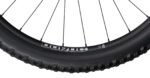 Radon Skeen Trail AL 8.0 – Bild 12