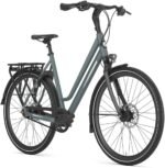 Gazelle Chamonix S8 Low-Step – Bild 2