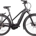Hercules Futura HD I-12
