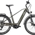 Kettler Quadriga Town & Country CX10 LG 625W-Akku Diamant